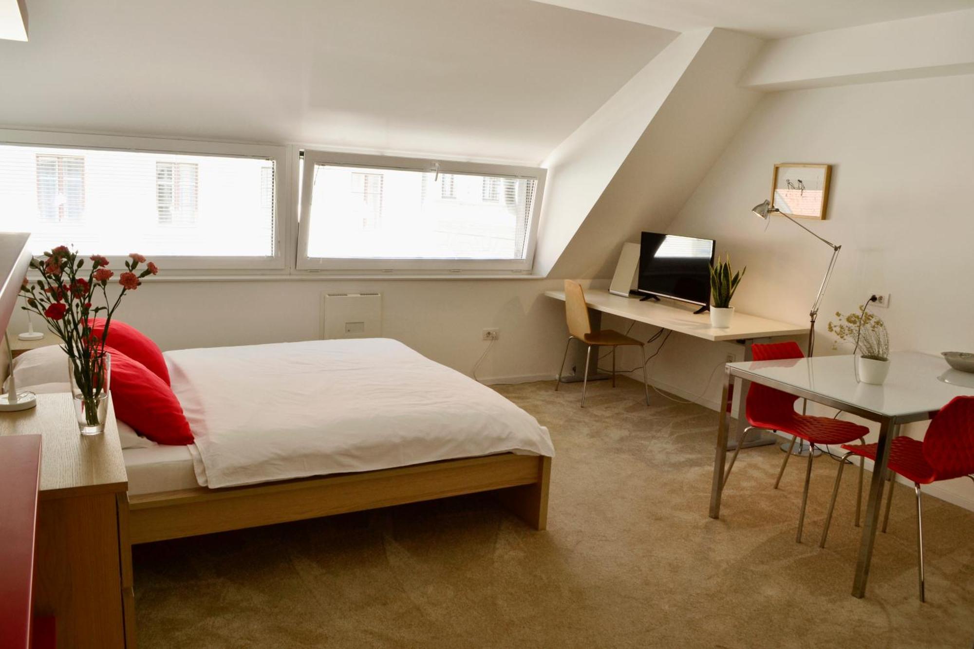 Apartment In Center Laibach